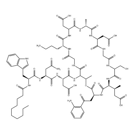 Daptomycin Cyclic Peptide Antibiotics