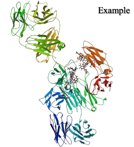 Panitumumab Monoclonal Antibody For Cancer